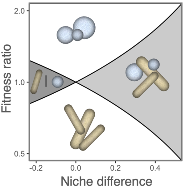 Niche and fitness difference plot from Orr et al. 2025